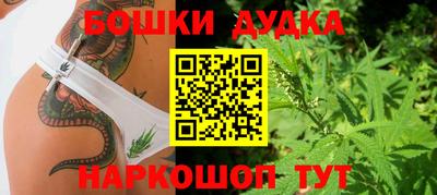 a pvp Лесосибирск