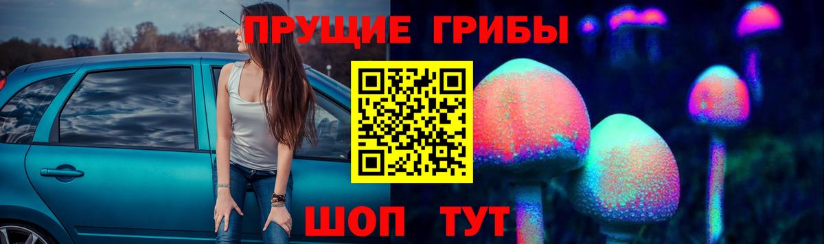 Зеленогорск  Псилоцибиновые грибы прущие грибы  где можно купить наркотик  Вход с VPN 